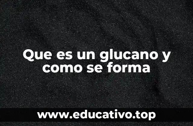 Que es un glucano y como se forma