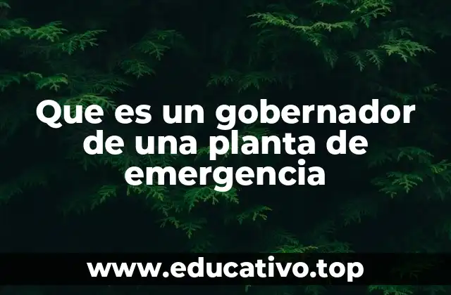 Funcionamiento del gobernador en una planta de emergencia