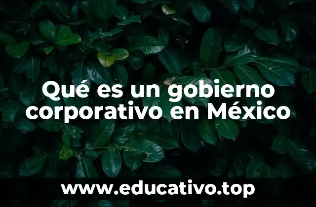 Qué es un gobierno corporativo en México