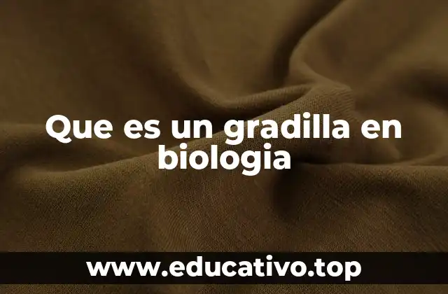 Que es un gradilla en biologia