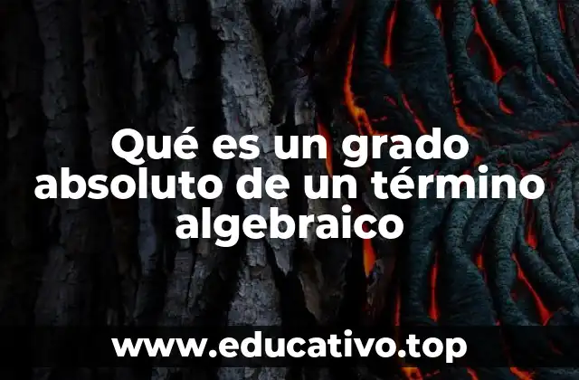 Qué es un grado absoluto de un término algebraico