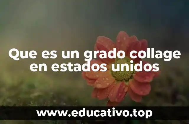 Que es un grado collage en estados unidos