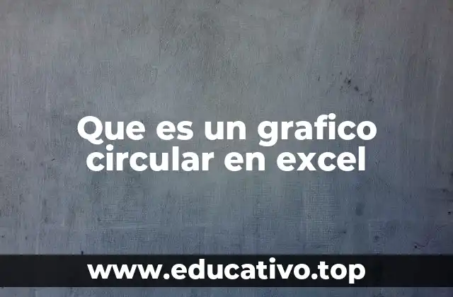 Que es un grafico circular en excel