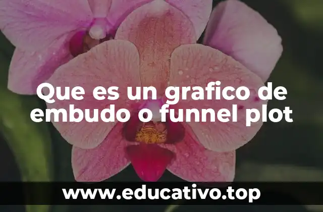 Que es un grafico de embudo o funnel plot