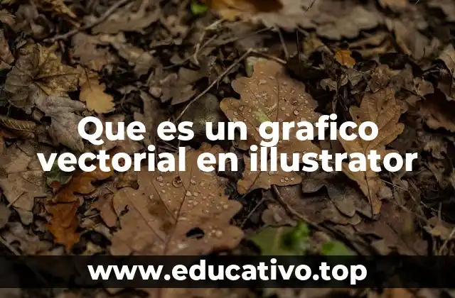 Que es un grafico vectorial en illustrator