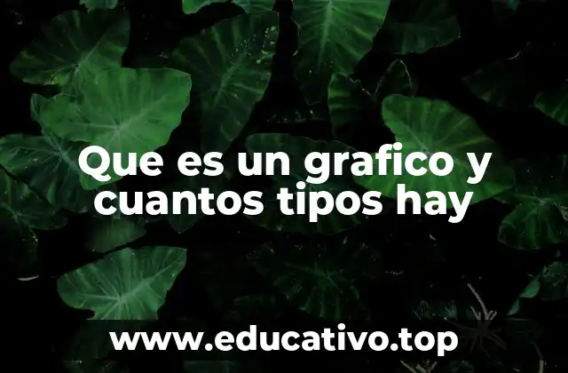 Que es un grafico y cuantos tipos hay