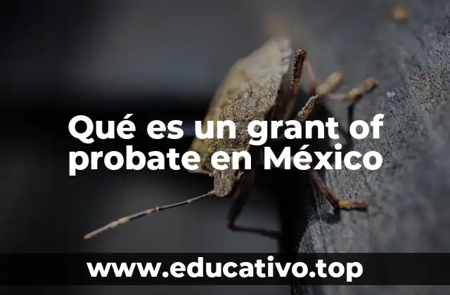 El proceso legal para validar un testamento en México