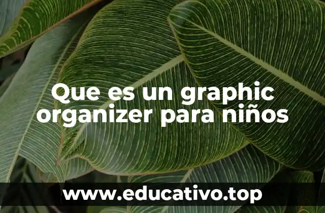 Que es un graphic organizer para niños