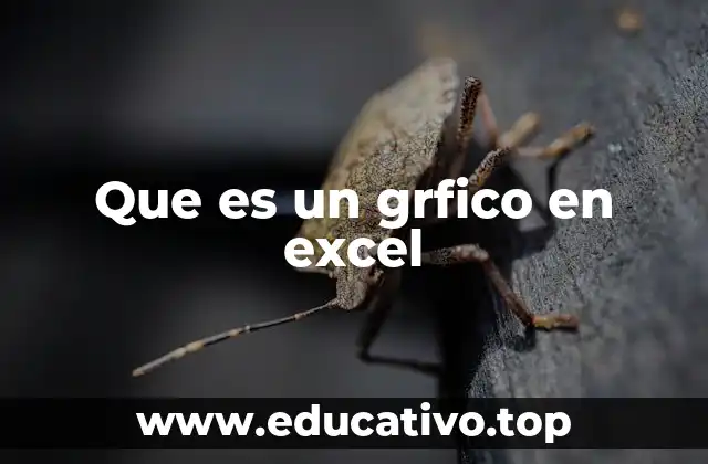 Que es un grfico en excel