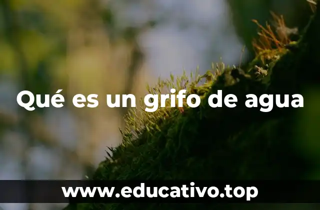 Qué es un grifo de agua