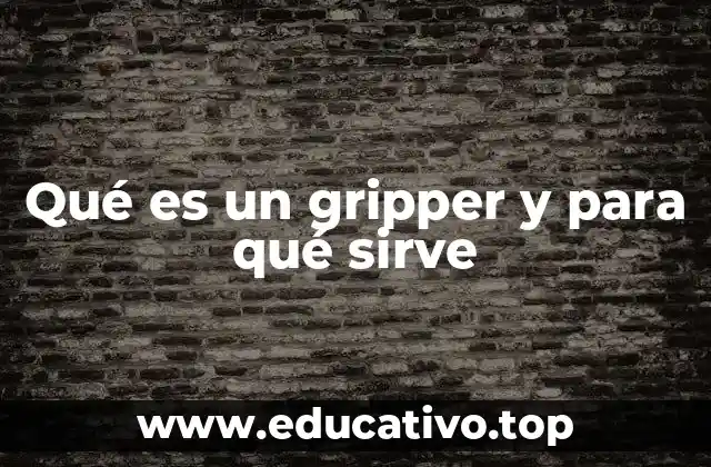 Qué es un gripper y para qué sirve