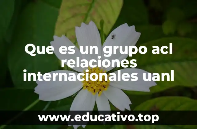 Que es un grupo acl relaciones internacionales uanl