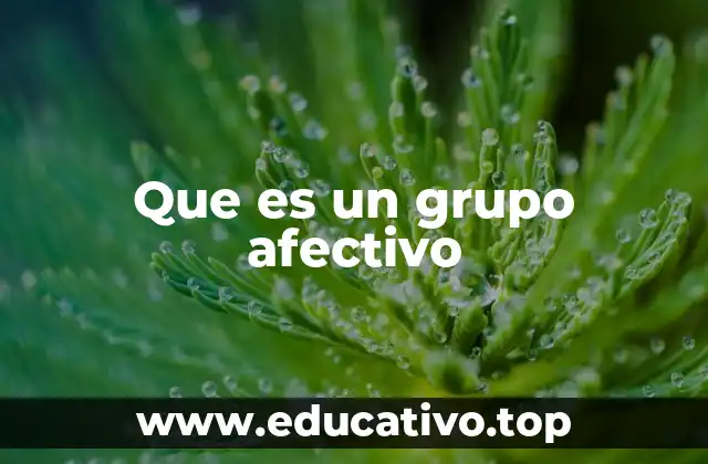 Que es un grupo afectivo