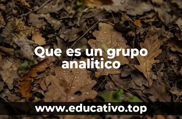 Que es un grupo analitico