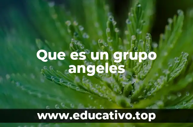 La dinámica social detrás de los grupos ángeles