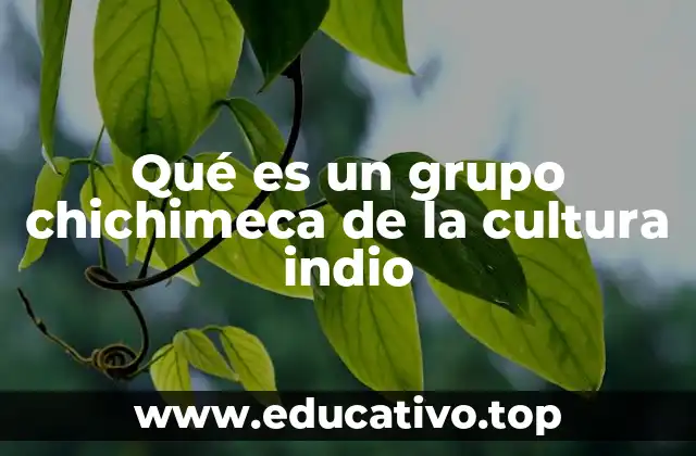 Qué es un grupo chichimeca de la cultura indio