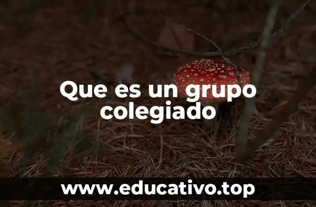 Que es un grupo colegiado