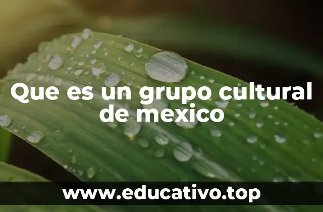 Que es un grupo cultural de mexico