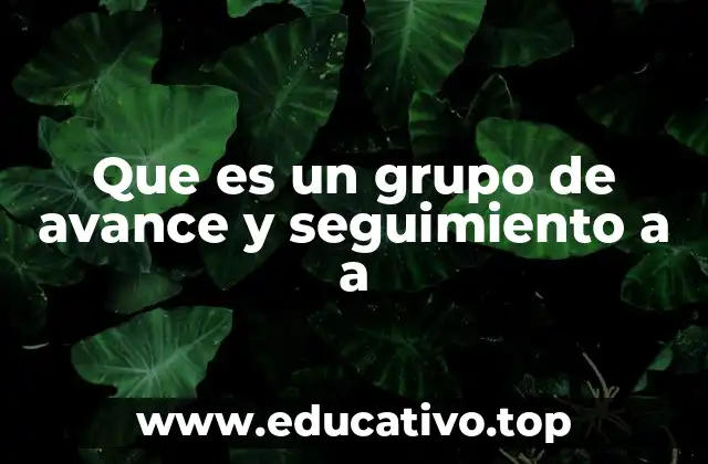 Que es un grupo de avance y seguimiento a a
