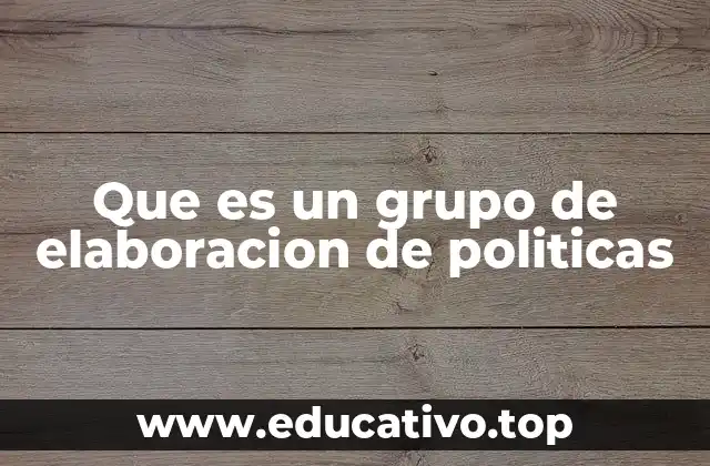 Que es un grupo de elaboracion de politicas