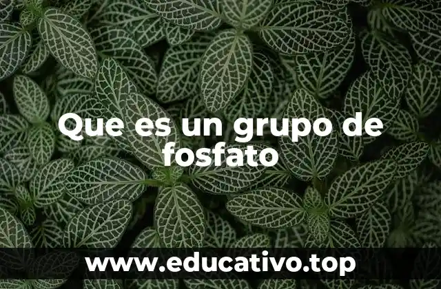 Que es un grupo de fosfato