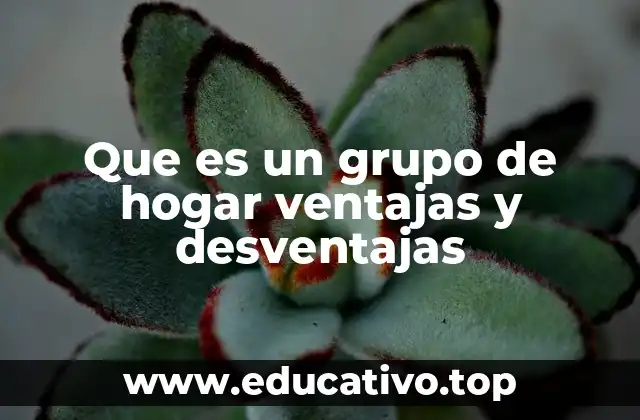 Que es un grupo de hogar ventajas y desventajas