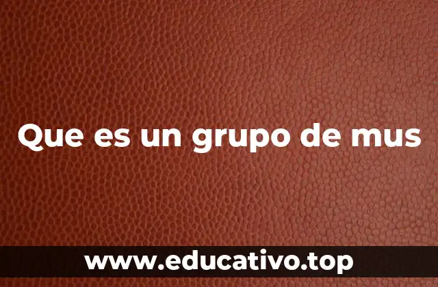 Que es un grupo de mus