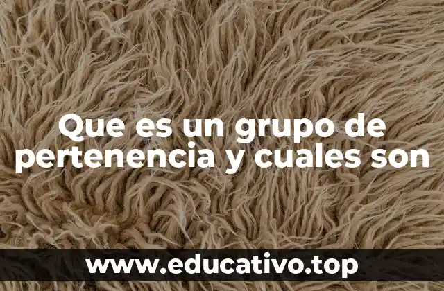 Que es un grupo de pertenencia y cuales son