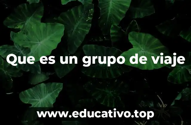 Que es un grupo de viaje