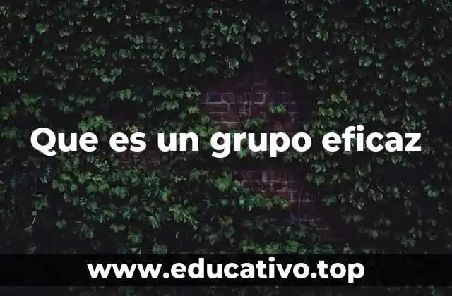 Que es un grupo eficaz