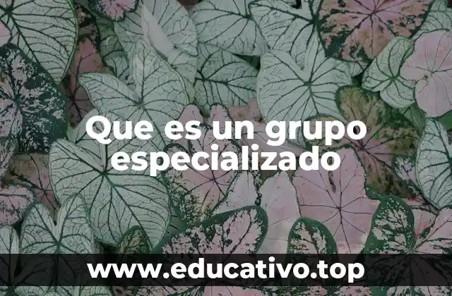 La importancia de contar con una formación colectiva