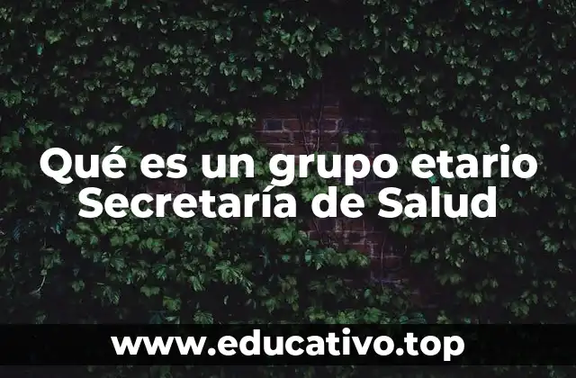 Qué es un grupo etario Secretaría de Salud