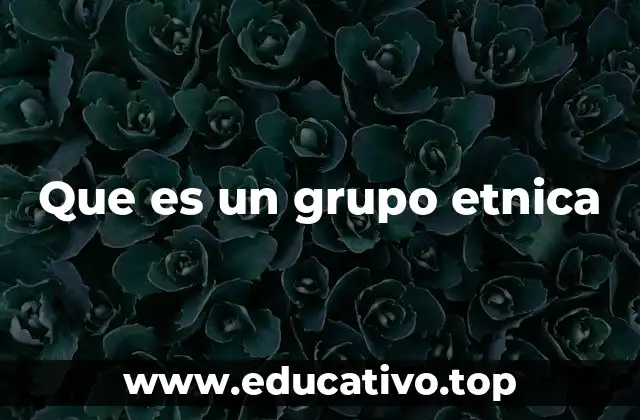 Que es un grupo etnica