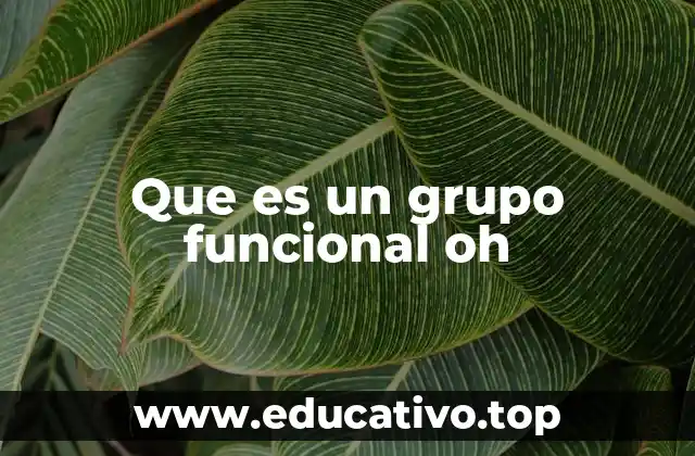 Que es un grupo funcional oh