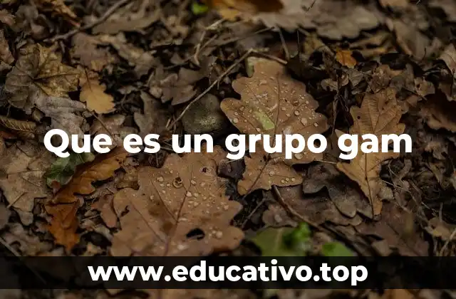 Que es un grupo gam