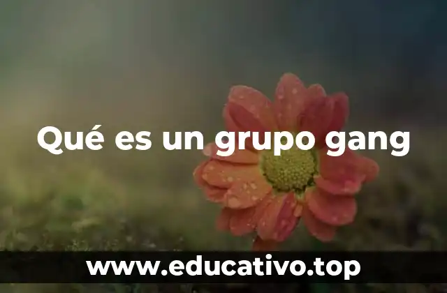 Qué es un grupo gang