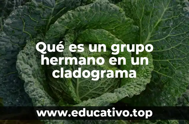 Qué es un grupo hermano en un cladograma