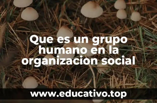 Que es un grupo humano en la organizacion social