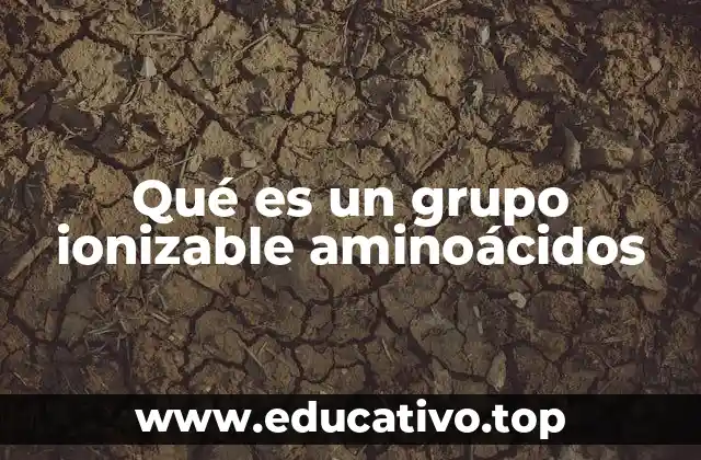 Qué es un grupo ionizable aminoácidos