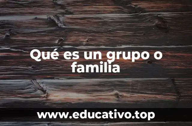 Qué es un grupo o familia