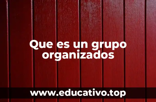 Características de un grupo organizado