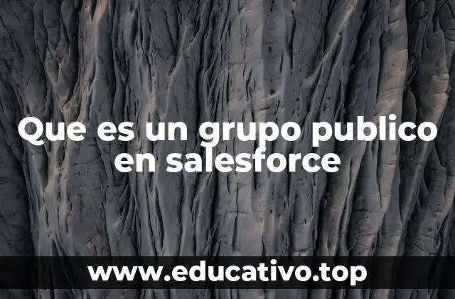 Que es un grupo publico en salesforce