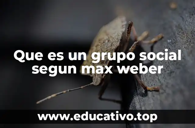 Que es un grupo social segun max weber