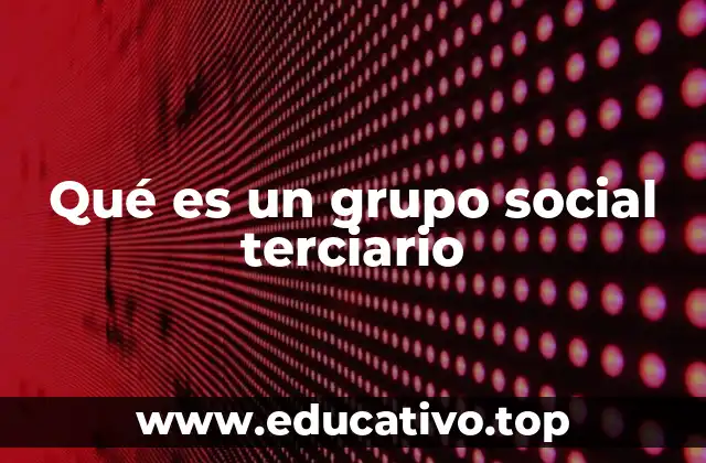 Qué es un grupo social terciario
