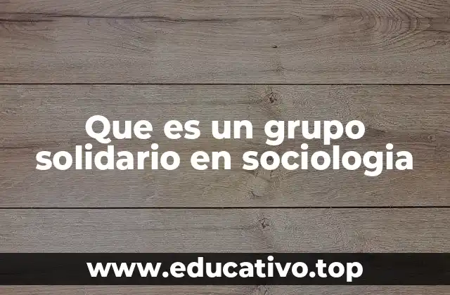 Que es un grupo solidario en sociologia