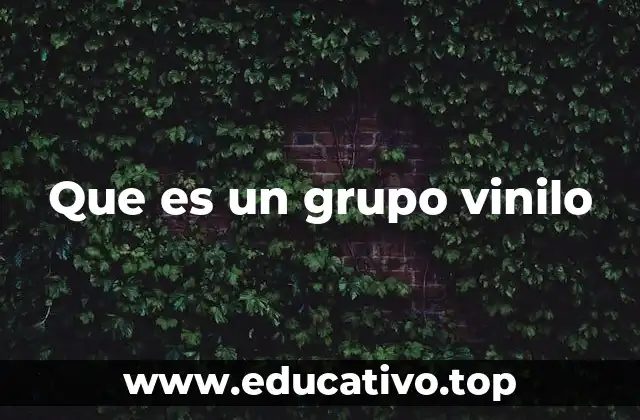 Que es un grupo vinilo