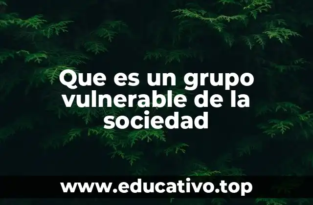 Que es un grupo vulnerable de la sociedad