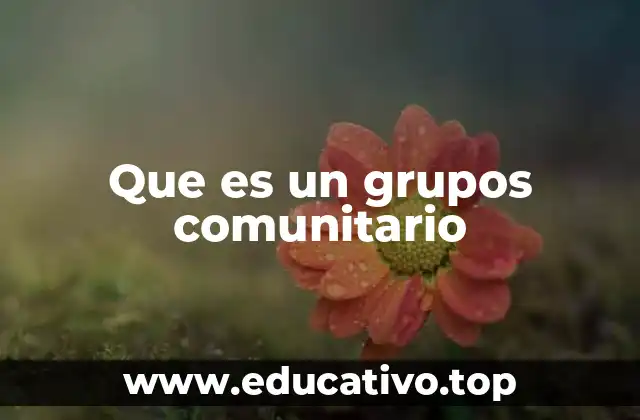 Que es un grupos comunitario