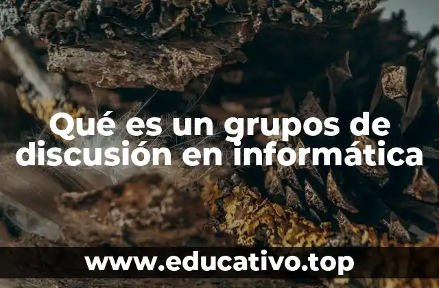 Qué es un grupos de discusión en informática