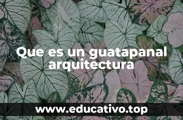 Que es un guatapanal arquitectura